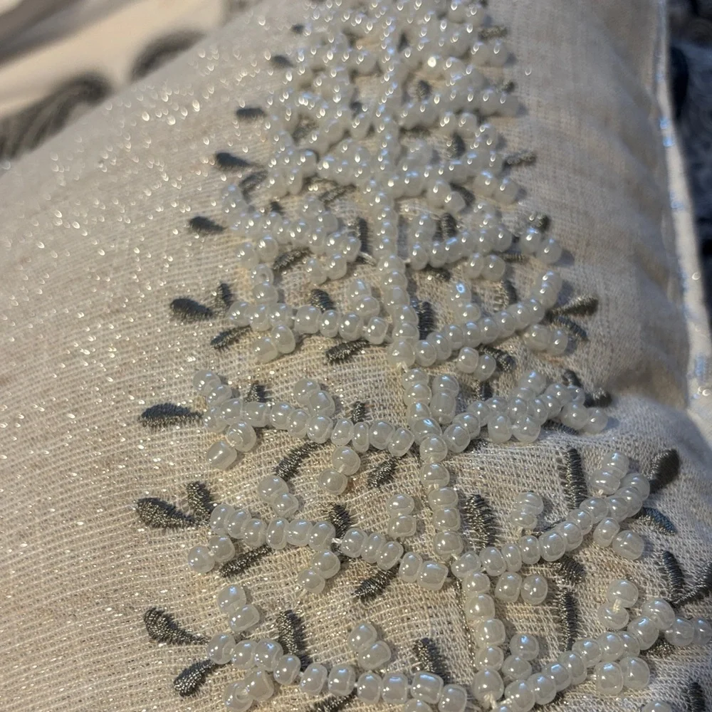 Celerie Elegant‎ Silver and pearls Embroidered Pillow